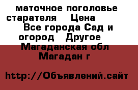 маточное поголовье старателя  › Цена ­ 3 700 - Все города Сад и огород » Другое   . Магаданская обл.,Магадан г.